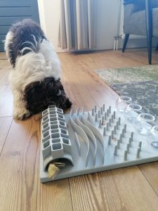 IMG_20220307_083758